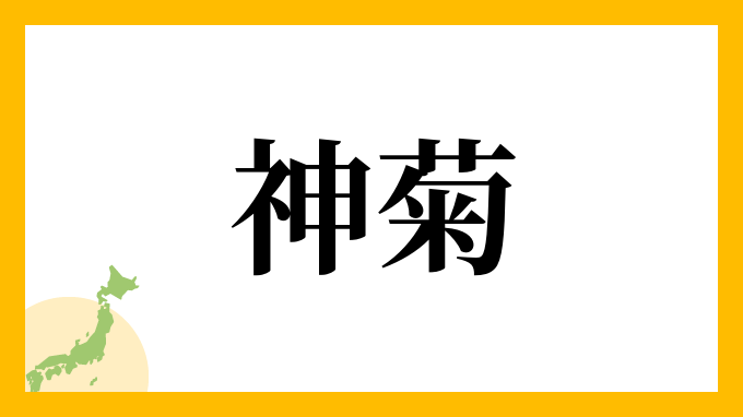 神菊
